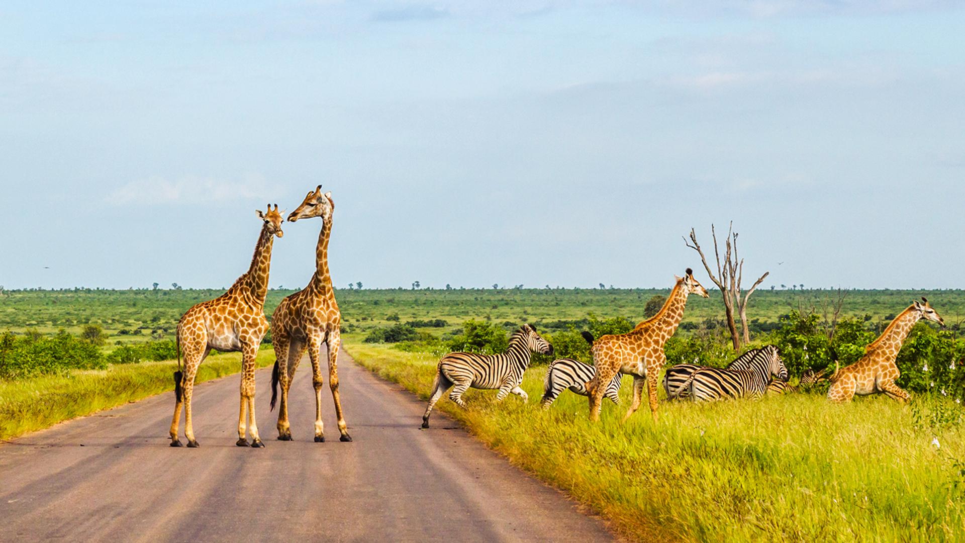 Kruger