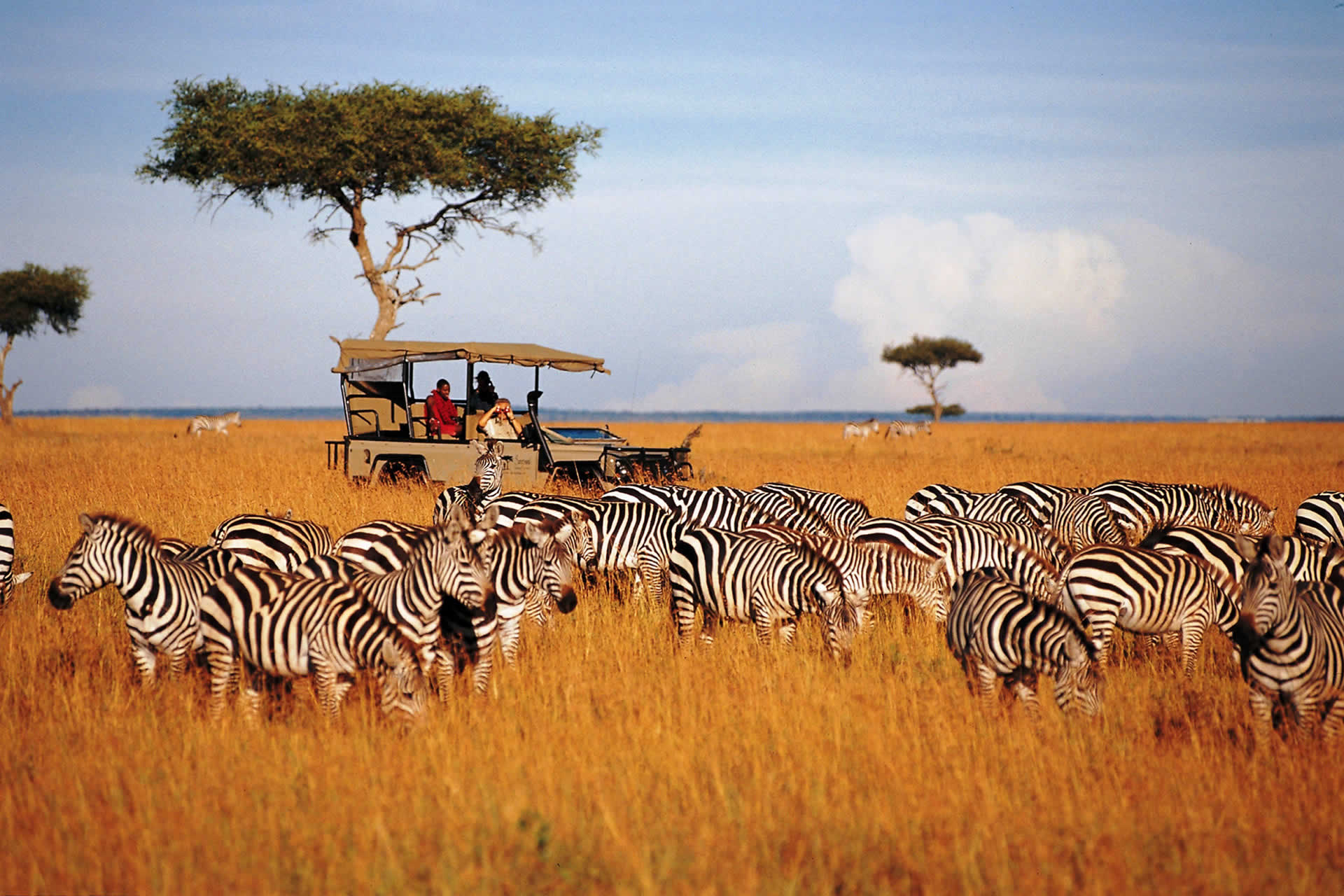 Maasai Mara