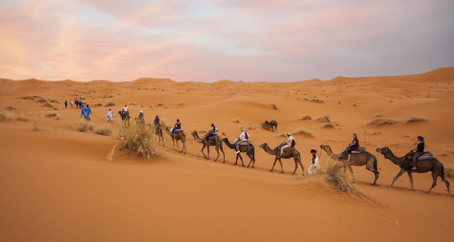 Desert Tour