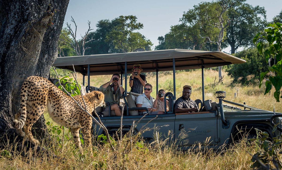 Safari Tour