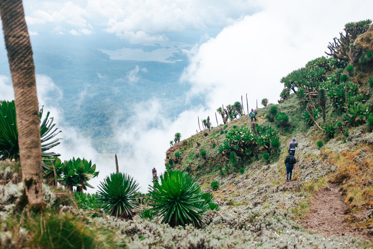 Virunga National Park